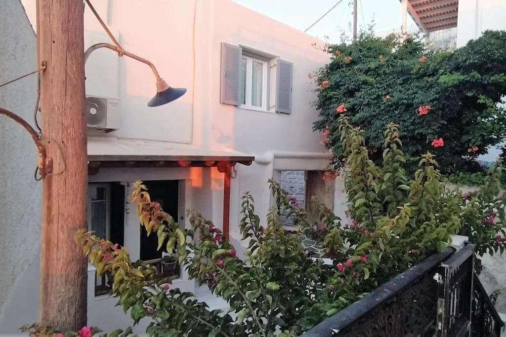 Naxion Esti - Διαμονή Στην Παλιά Χώρα Της Νάξου Villa Naxos City Kültér fotó