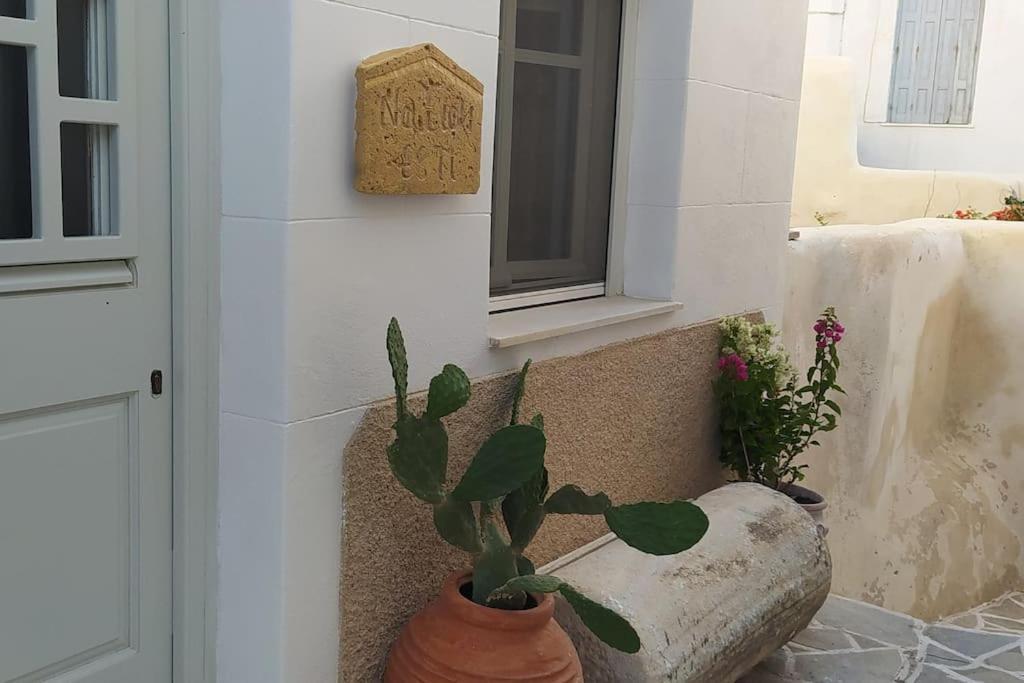 Naxion Esti - Διαμονή Στην Παλιά Χώρα Της Νάξου Villa Naxos City Kültér fotó
